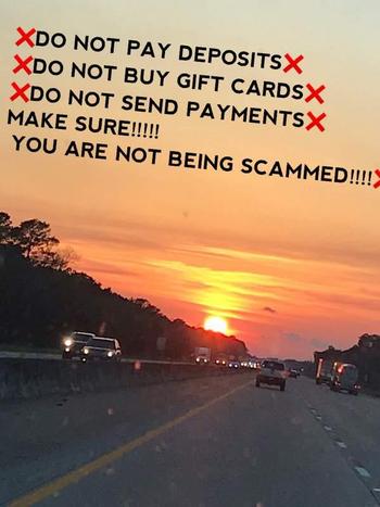 3462840239, female escort, Lake Charles